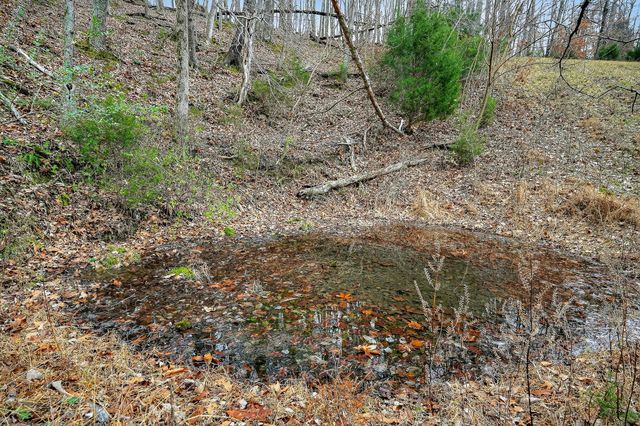 2578 Pea Ridge Rd, Liberty, TN 37095