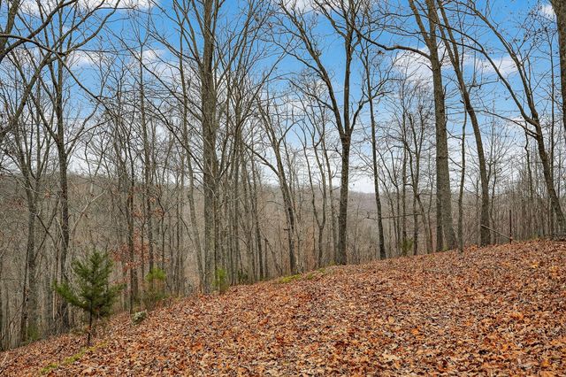 2578 Pea Ridge Rd, Liberty, TN 37095