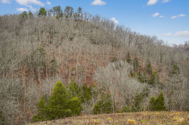 2578 Pea Ridge Rd, Liberty, TN 37095
