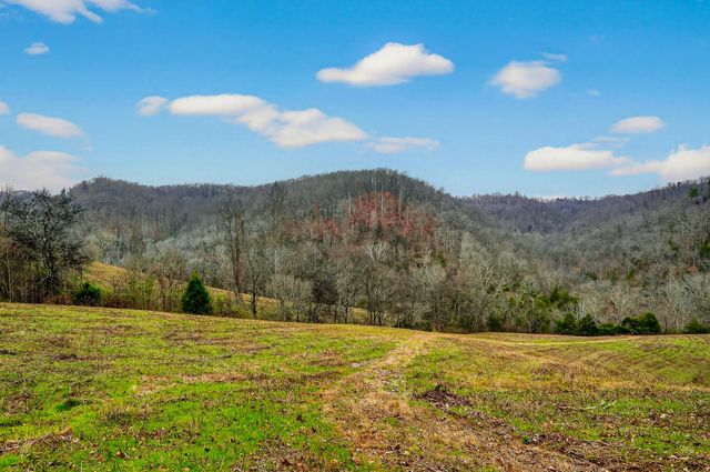 2578 Pea Ridge Rd, Liberty, TN 37095