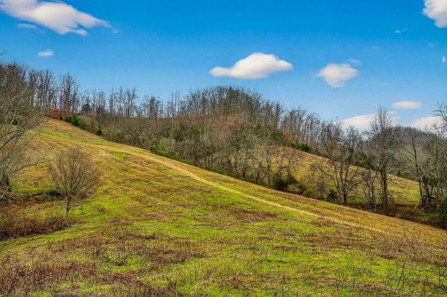 2578 Pea Ridge Rd, Liberty, TN 37095