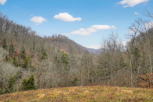 2578 Pea Ridge Rd, Liberty, TN 37095
