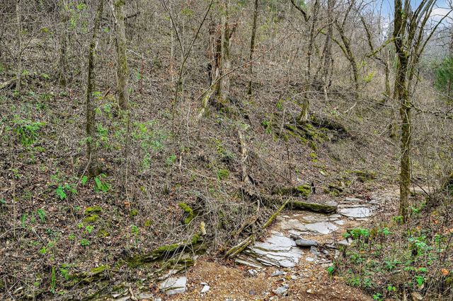 2578 Pea Ridge Rd, Liberty, TN 37095