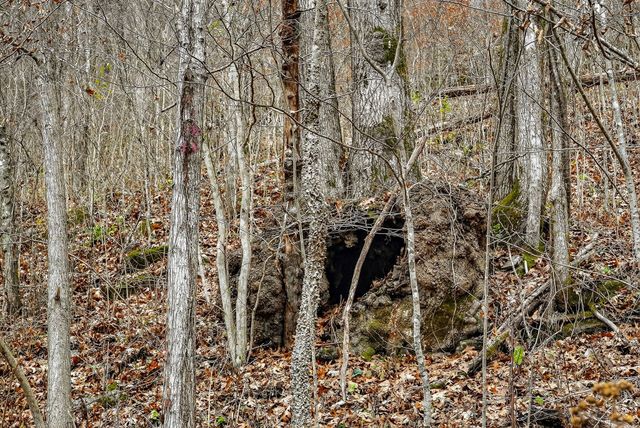 2578 Pea Ridge Rd, Liberty, TN 37095