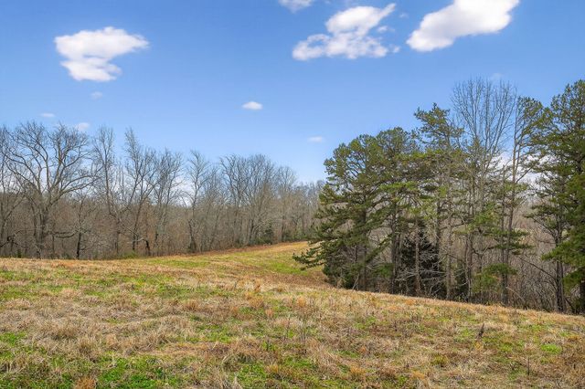 2578 Pea Ridge Rd, Liberty, TN 37095