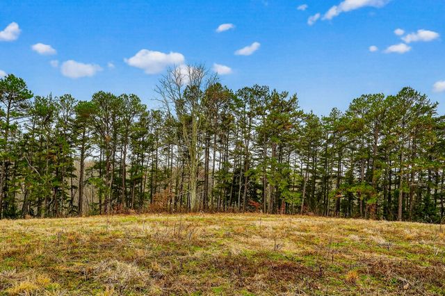 2578 Pea Ridge Rd, Liberty, TN 37095