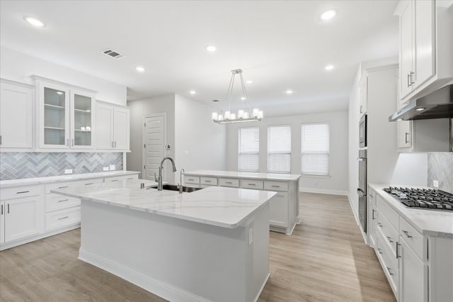 910 Cone Flower Drive, Prosper, TX 75078