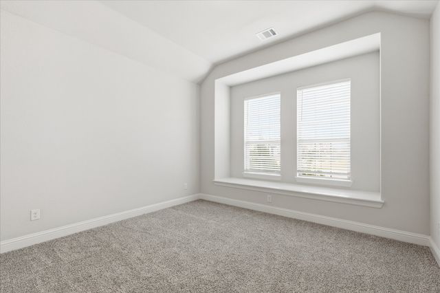 910 Cone Flower Drive, Prosper, TX 75078