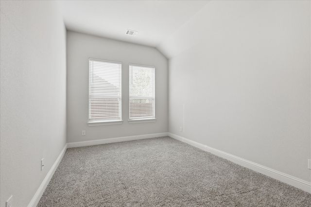 910 Cone Flower Drive, Prosper, TX 75078