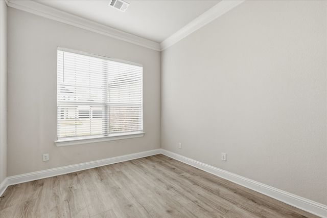 910 Cone Flower Drive, Prosper, TX 75078