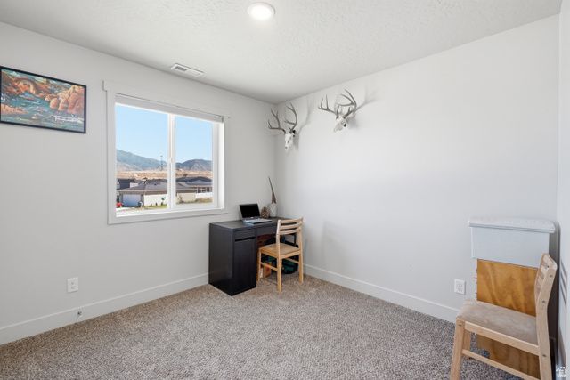 4014 S SAGE WOOD AVE, Mapleton, UT 84664