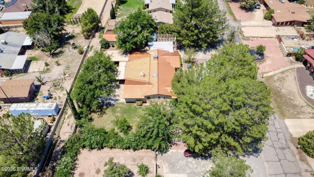 2517 Calle De Vista, Las Cruces, NM 88007