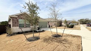 1517 Chapel Ranch RD, Georgetown, TX 78628
