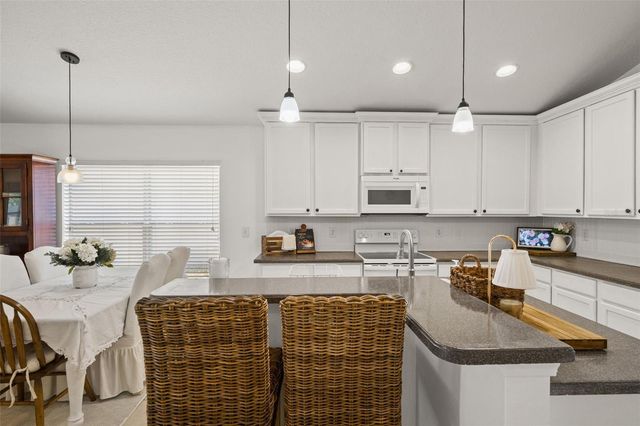 9556 SOUTHERN CHARM CIRCLE, Brooksville, FL 34613