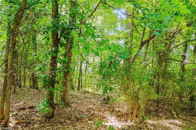 4446 MARION Drive, Terrell, NC 28682