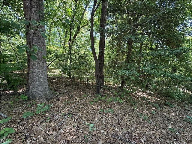 4446 MARION Drive, Terrell, NC 28682