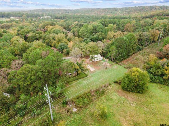 1520 N Texas Ave, Palestine, TX 75803