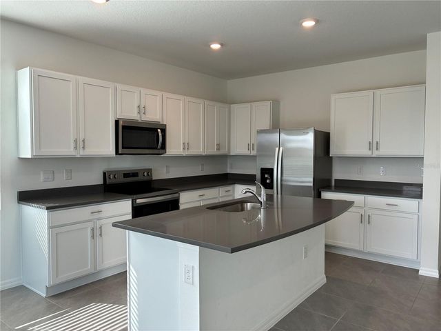 32619 TURTLE GRACE LOOP, Wesley Chapel, FL 33545