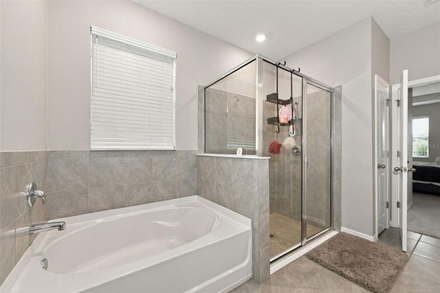 16633 MOONER PLANK CIRCLE, Wimauma, FL 33598