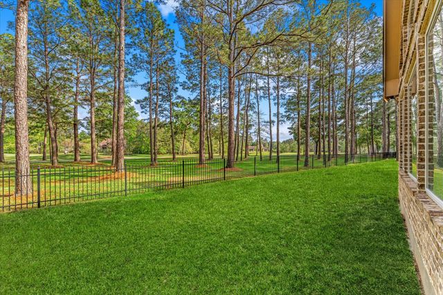 28742 Champions Drive, Magnolia, TX 77355