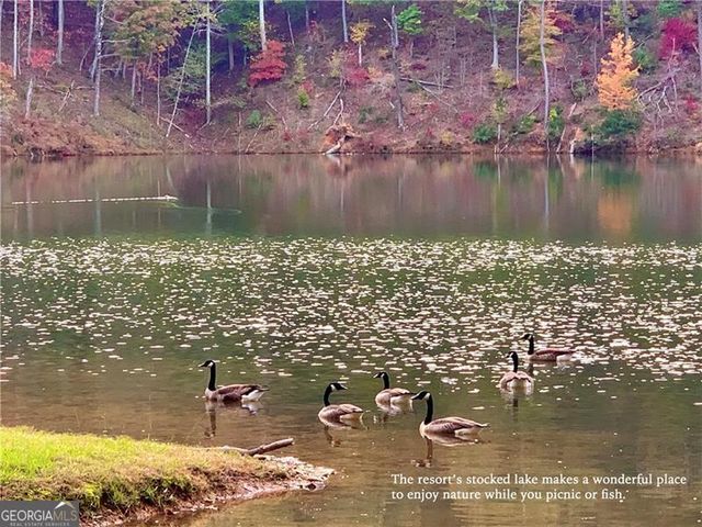 325 Adair Drive, Ranger, GA 30734