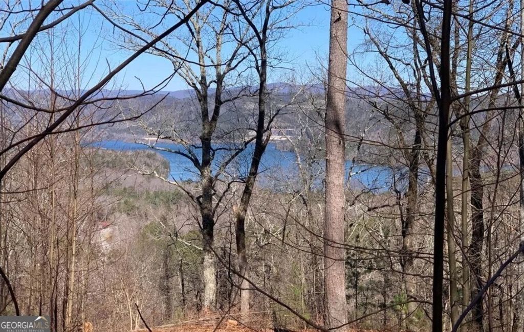 325 Adair Drive, Ranger, GA 30734