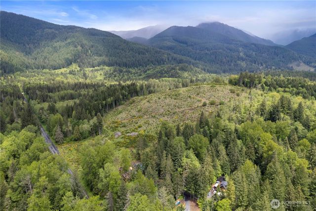 34208 343rd Avenue Ct E, Ashford, WA 98304