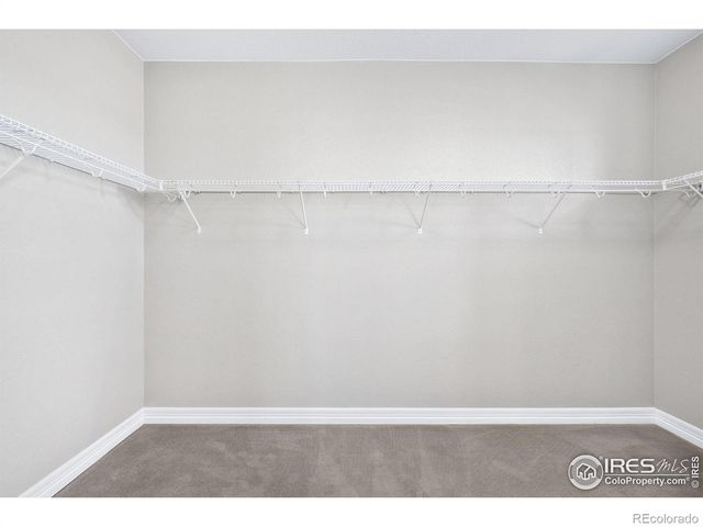 14807 Haley Avenue, Parker, CO 80134