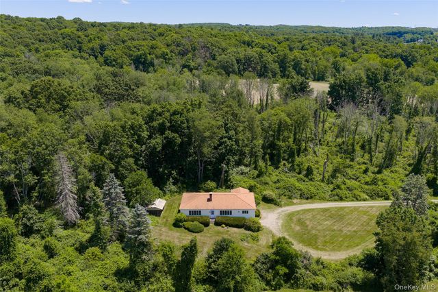 229 N Clove Road, Verbank, NY 12585