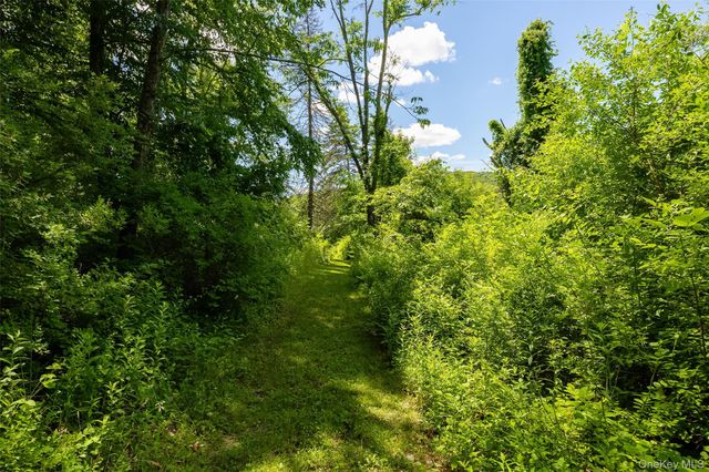 229 N Clove Road, Verbank, NY 12585
