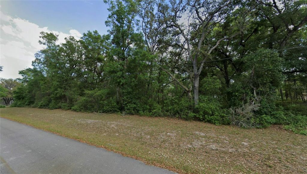 TBD SE 59TH STREET, Ocklawaha, FL 32179