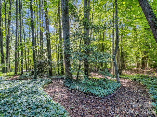 115 Woodhaven Drive, Hendersonville, NC 28739