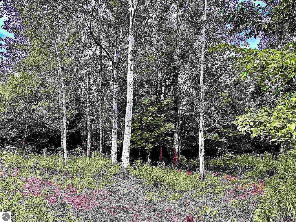 Image 4 of property listing at 730 W M-113, Kingsley, MI 49649