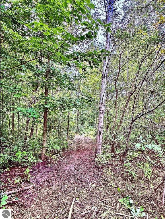 Image 5 of property listing at 730 W M-113, Kingsley, MI 49649