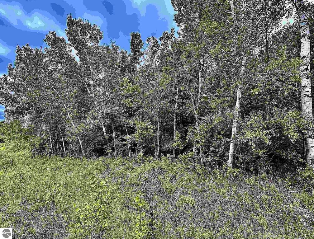 Image 7 of property listing at 730 W M-113, Kingsley, MI 49649