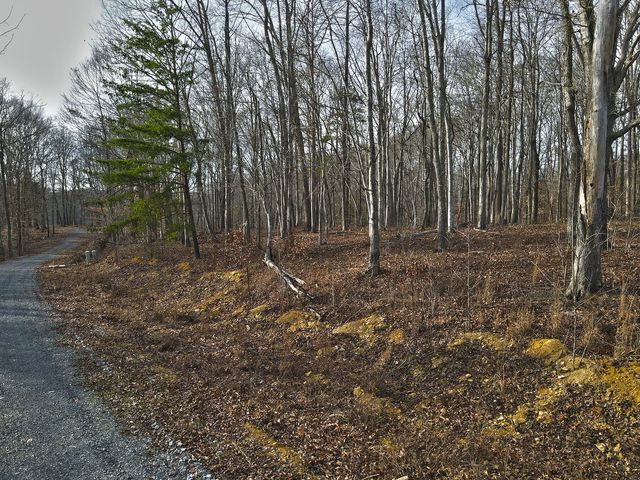 3 Carson Road, Russell Springs, KY 42642