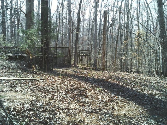 174 Sugar Maple Dr, Dover, TN 37058