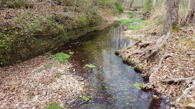 6223 Bell Branch Trl, Nunnelly, TN 37137