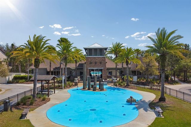 1135 PIPESTONE PLACE, Wesley Chapel, FL 33543