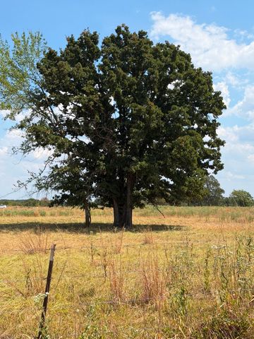 1196 RS County Road 3220, Emory, TX 75440