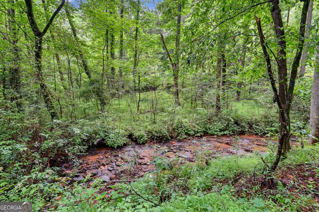 5637 Murray Cove Road, Tiger, GA 30576
