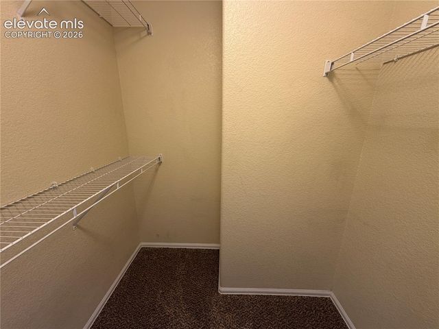 3429 Kingfisher Nest Grove, Colorado Springs, CO 80916