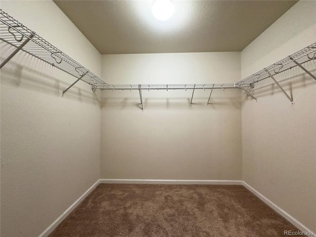 1578 Sepia Avenue, Longmont, CO 80501