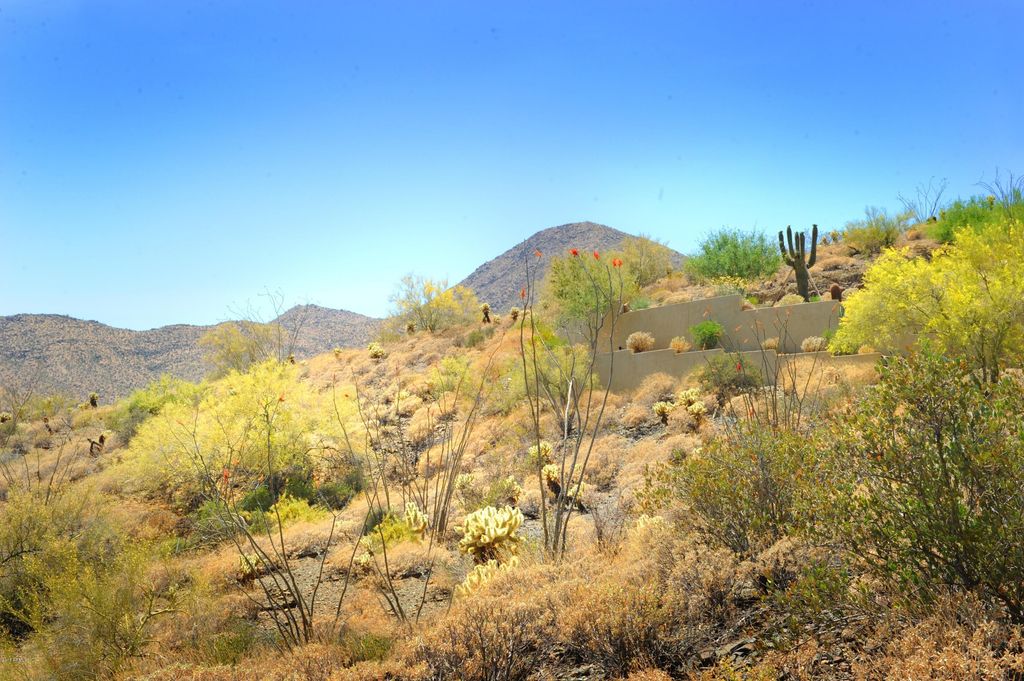 14317 E MOURNING DOVE Drive 86, Fountain Hills, AZ 85268 — photo 4
