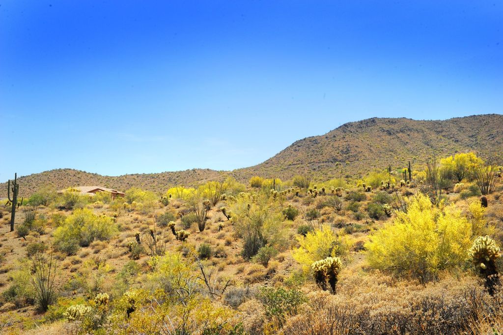 14317 E MOURNING DOVE Drive 86, Fountain Hills, AZ 85268 — photo 5
