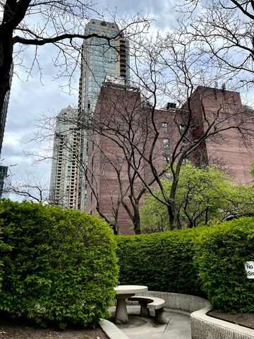 10 E Ontario Street 4708, Chicago, IL 60611