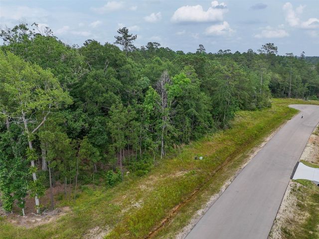 104 Eagle Run Road, Willis, TX 77378