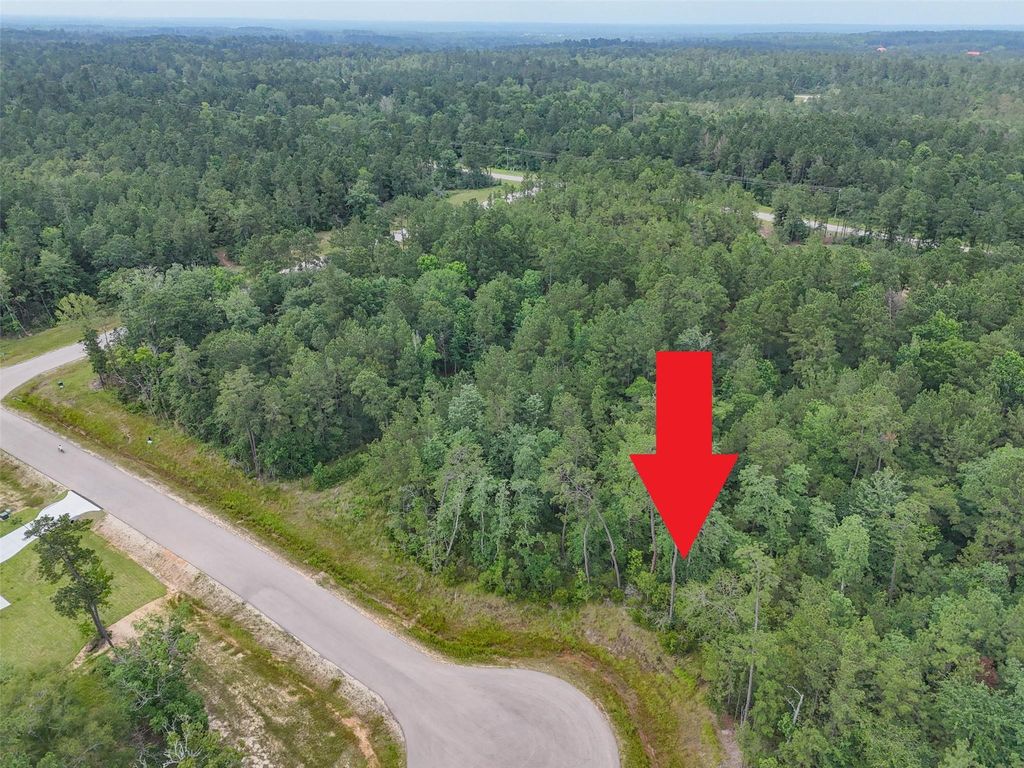 104 Eagle Run Road, Willis, TX 77378