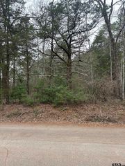 11372 CR 2326 (Caleb), Tyler, TX 75707