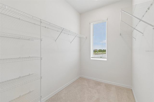 6347 JENSEN VIEW AVENUE, Apollo Beach, FL 33572